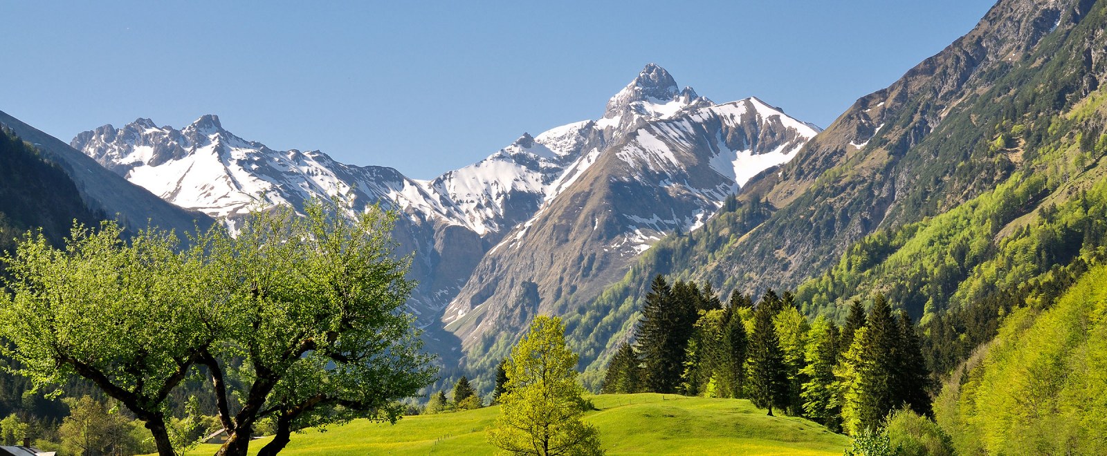 Trettachtal in Oberstdorf im Frühling