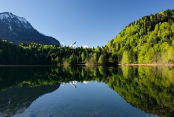Freibergsee